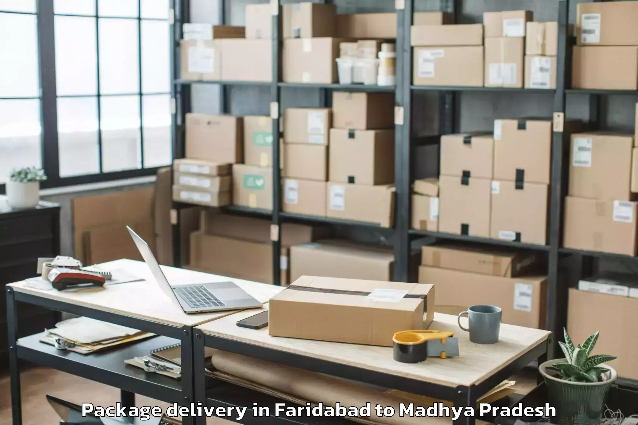 Book Faridabad to Guna Airport Gux Package Delivery Online